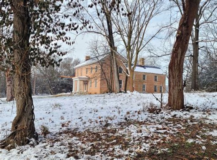 
Ezra Miller Farm Video Twitter Housing Mom Wiki Biography Instagram 