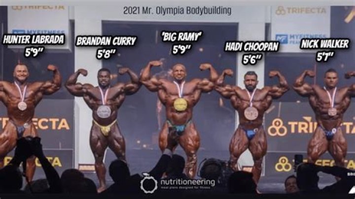 
Tangaroa Walker Height, Weight, Net Worth, Age, Birthday, Wikipedia, Who, Nationality, Biography 