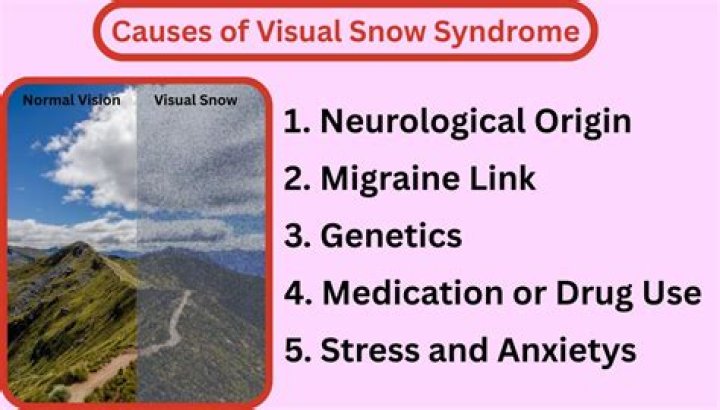 What is visual snow syndrome? Bryan Kohberger Tapatalk forum posts go viral online